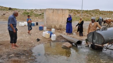 Photo of أهالي القيروان بين تفشي الوباء وتلوث الماء
