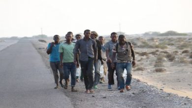 Photo of ايقاف 33 مهاجرا غير نظامي من “جنوب الصحراء”